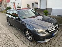 Gebraucht Mercedes E350 Avantgarde 252 PS (185 kW) 2013 Kombi
