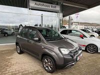 Gebraucht Fiat Panda Cross Cross 69 PS (50 kW) 2022 Colosseo grau Kleinwagen