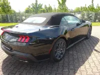 Neu Ford Mustang GT Convertible 446 PS (328 kW) 2025 Schwarz Cabrio