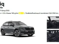 Gebraucht Skoda Kamiq 150 PS (110 kW) 2026 Grau SUV