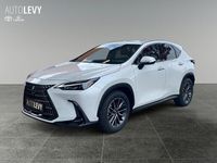 Gebraucht Lexus NX450h+ 309 PS (227 kW) 2025 Weiß SUV