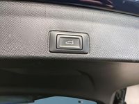 Gebraucht Cupra Terramar 150 PS (110 kW) 2025 Blau SUV