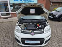 Gebraucht Fiat Panda 69 PS (50 kW) 2014 Weiß Kleinwagen