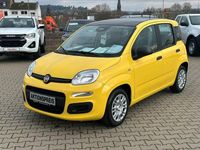 Neu Fiat Panda Icon 69 PS (50 kW) 2026 Gelb Limousine