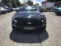 gebraucht Ford Mustang 2,3 ECOBOOST KLIMATR LEDER NAVI KAMERA