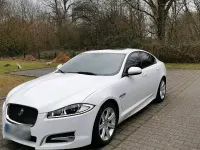 Gebraucht Jaguar XF 241 PS (177 kW) 2014 Weiß Limousine