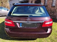 Gebraucht Mercedes E250 Elegance 204 PS (150 kW) 2013 Braun Kombi