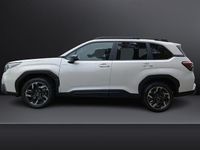 Neu Subaru Forester Active 136 PS (100 kW) 2025 River rock pearl SUV