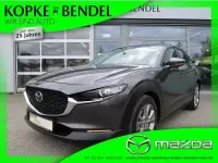 Gebraucht Mazda CX-30 Selection 122 PS (89 kW) 2022 Grau SUV