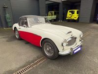 Gebraucht Austin Healey 100/6 117 PS (86 kW) 1957 Weiß Cabrio