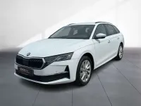 Gebraucht Skoda Octavia Selection 150 PS (110 kW) 2025 Moonweiß perleffekt Kombi