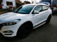 Gebraucht Hyundai Tucson Advantage 177 PS (130 kW) 2017 Weiß SUV