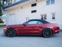Gebraucht Ford Mustang 317 PS (233 kW) 2016 Rot Cabrio