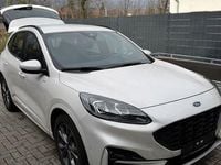 Gebraucht Ford Kuga ST-Line 120 PS (88 kW) 2023 Weiß SUV