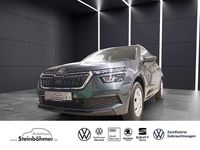 Gebraucht Skoda Kamiq Active 110 PS (80 kW) 2021 Quarz grau (grau) SUV