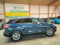 Gebraucht Ford Kuga Titanium X 224 PS (164 kW) 2022 Blau SUV