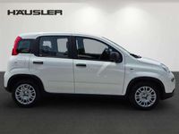 Gebraucht Fiat Panda 69 PS (50 kW) 2024 Gelato weiß Kleinwagen