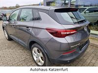 Gebraucht Opel Grandland X 131 PS (96 kW) 2020 Grau SUV