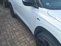 Gebraucht Renault Austral Techno 158 PS (116 kW) 2025 Weiß SUV