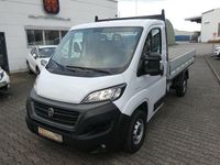 Gebraucht Fiat Ducato 140 PS (102 kW) 2021 Weiß Van