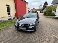 gebraucht Mercedes E220 CDI T AVANTGARDE AVANTGARDE