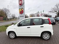 Gebraucht Fiat Panda Easy 69 PS (50 kW) 2019 Weiß Kleinwagen