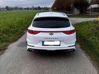 Gebraucht Kia ProCeed GT 204 PS (150 kW) 2020 Weiß Kombi