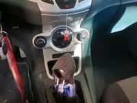 Gebraucht Ford Fiesta 97 PS (71 kW) 2010 Kleinwagen