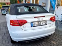 gebraucht Audi A3 Cabriolet A3 2.0 TDI Ambition Cabriolet 2.0 TDI Ambition , 140PS, Sommerauto