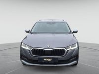 Gebraucht Skoda Octavia Scout 4x4 200 PS (147 kW) 2023 Graphitegrau metallic Kombi
