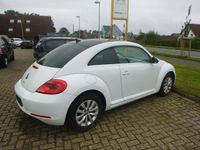 Gebraucht VW Beetle Design 105 PS (77 kW) 2015 Weiß Kleinwagen