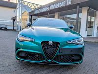 Gebraucht Alfa Romeo Giulia Quadrifoglio 519 PS (381 kW) 2025 Grün Limousine
