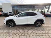 Gebraucht Lexus UX 250h Sport Design Packet 184 PS (135 kW) 2023 F white SUV