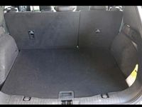 Gebraucht Ford Kuga ST-Line 150 PS (110 kW) 2021 Grau SUV