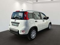 Gebraucht Fiat Panda 69 PS (50 kW) 2024 Gelato weiss Kleinwagen