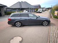 Gebraucht Mercedes E200 Avantgarde 136 PS (100 kW) 2014 Grau Kombi