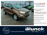 Gebraucht Ford Ecosport Titanium 101 PS (74 kW) 2018 Canyonbraun (metallic) SUV