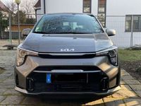 Gebraucht Kia Picanto Vision 79 PS (58 kW) 2024 Grau Kleinwagen