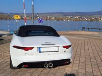 Gebraucht Jaguar F-Type Chequered Flag 340 PS (250 kW) 2019 Weiß Cabrio