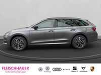 Neu Skoda Octavia 150 PS (110 kW) 2026 Grau Kombi