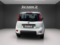 Gebraucht Fiat Panda 69 PS (50 kW) 2024 Gelato weiß Kleinwagen