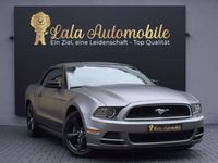 gebraucht Ford Mustang Cabrio BENZIN/LPG/KLIMA/BLUETOOTH/DAB/VO