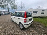 gebraucht Fiat Panda Euro 4 Scheckheft gepflegt Euro4 Tüv 10/24
