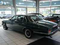 Gebraucht Jaguar XJ Sovereign 205 PS (150 kW) 1981 Grün Limousine