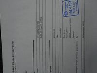 Gebraucht VW Caddy Basis 102 PS (75 kW) 2021 Weiß Van / Kleinbus