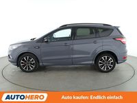 Gebraucht Ford Kuga ST-Line 230 PS (169 kW) 2019 Grau SUV
