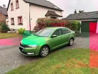 Gebraucht Skoda Rapid Active 105 PS (77 kW) 2015 Grün Kleinwagen