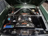 Gebraucht Ford Mustang Fastback 239 PS (175 kW) 1966 Grün Coupé