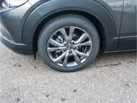 Neu Mazda CX-30 Exclusive-Line 186 PS (136 kW) 2025 Machine grey metallic SUV
