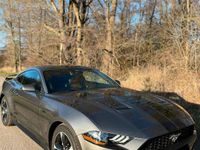 Gebraucht Ford Mustang 315 PS (231 kW) 2022 Grau Coupé